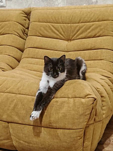 Фото покупателя, оценка 5 - 13